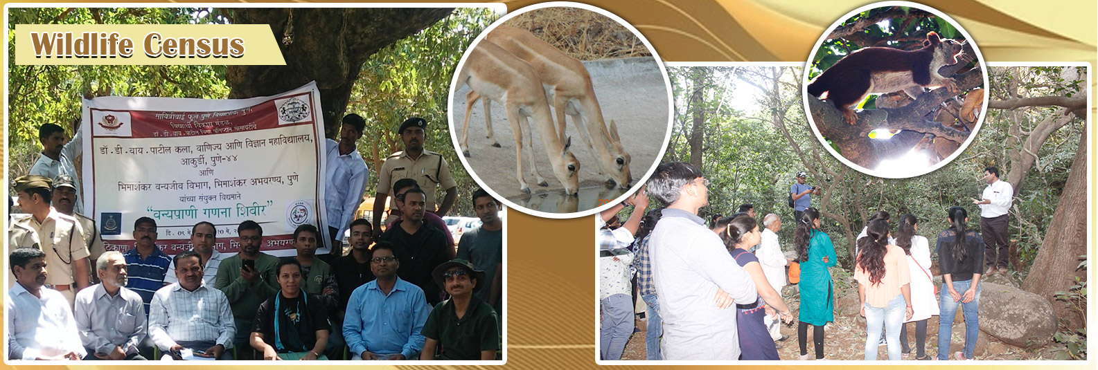 Dr. D.Y. Patil Arts, Commerce & Science College